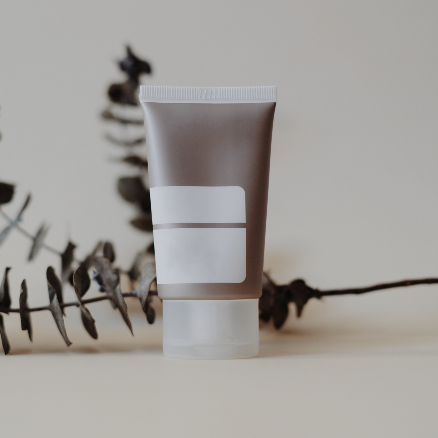 Charcoal Mask