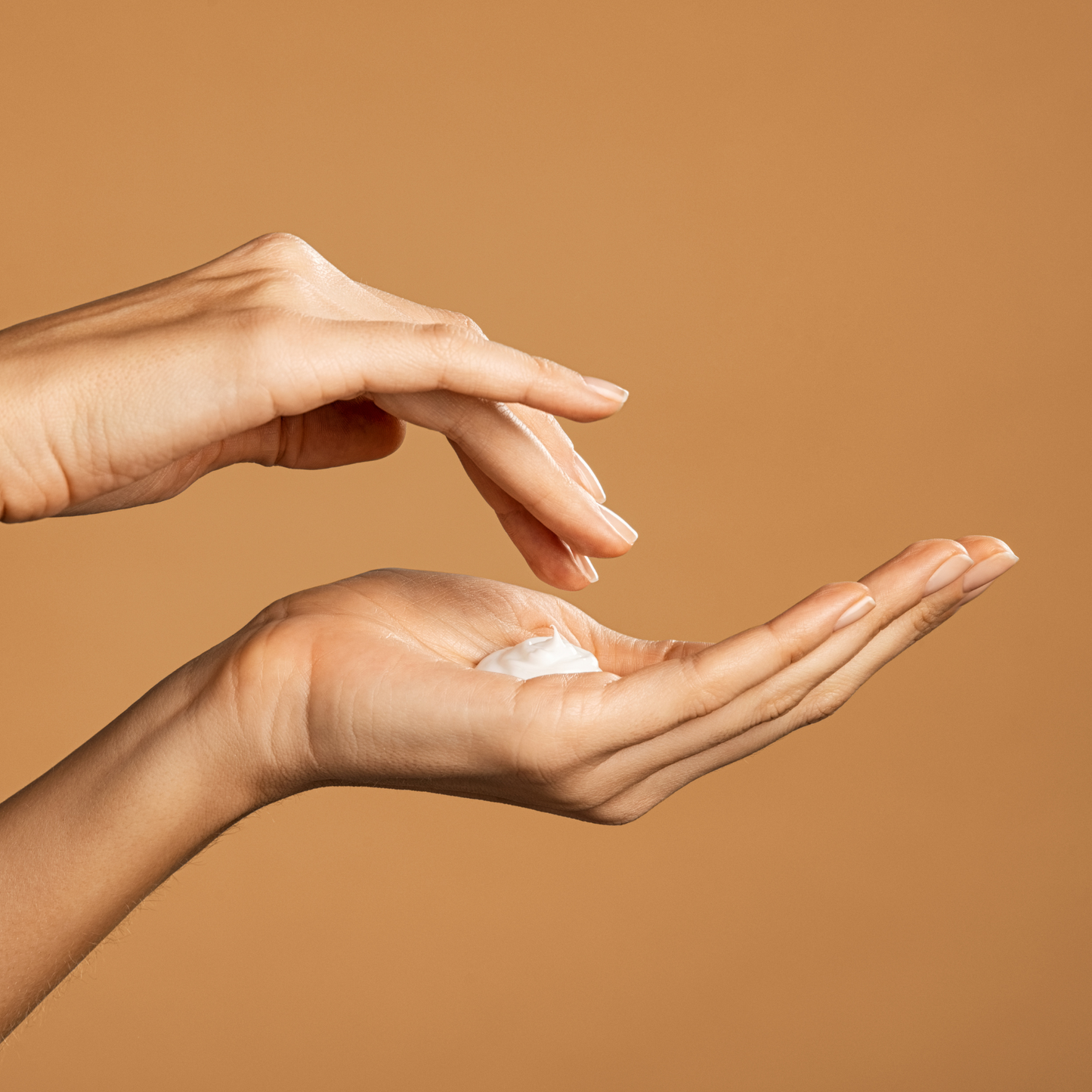 Everyday Body Lotion